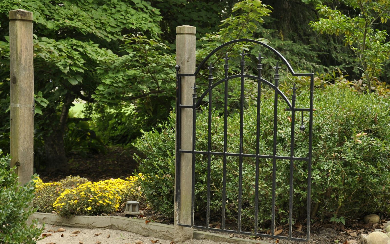 Black metal garden gate with an arched top and spear finials, set in a planted garden